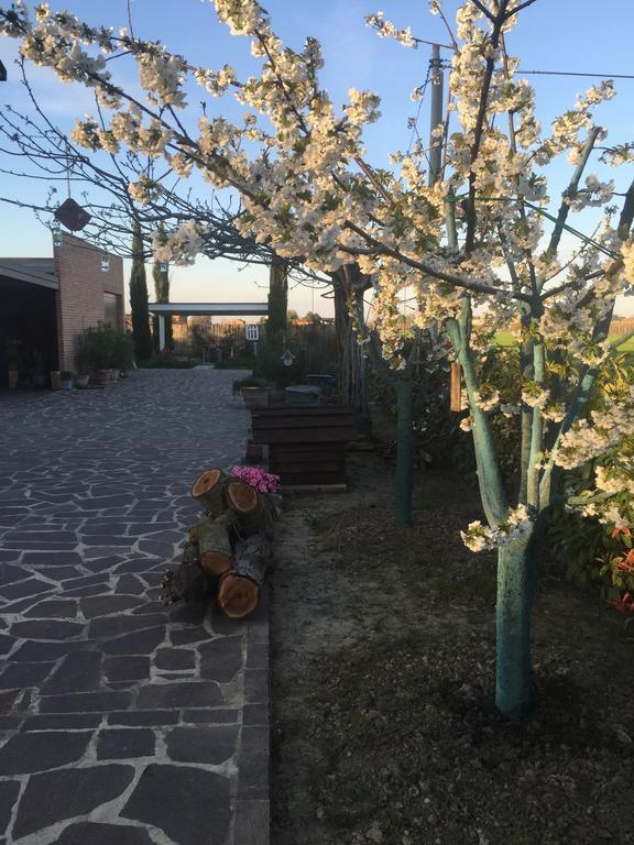 Dolce Casetta Faenza Εξωτερικό φωτογραφία