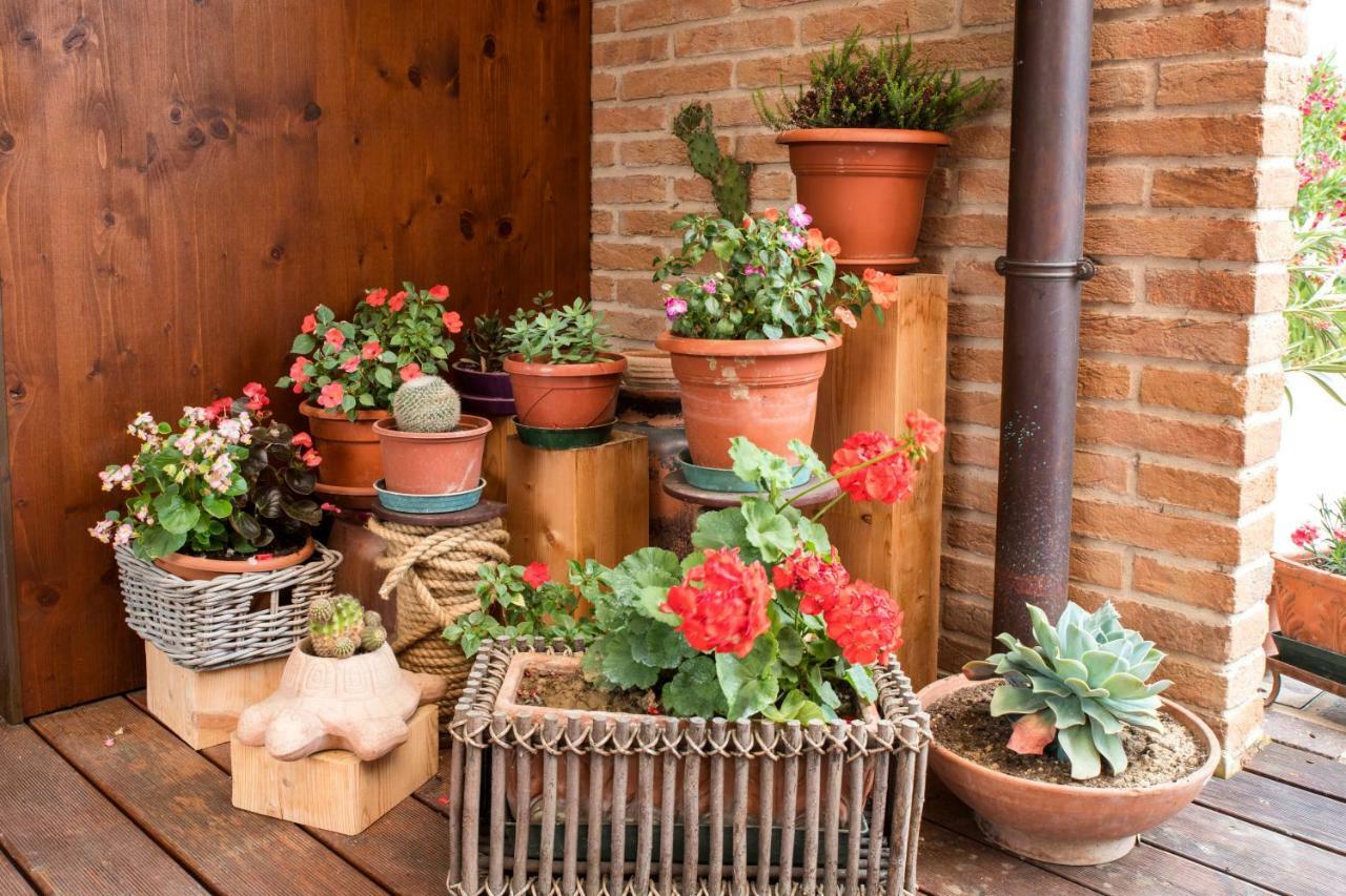 Dolce Casetta Faenza Εξωτερικό φωτογραφία